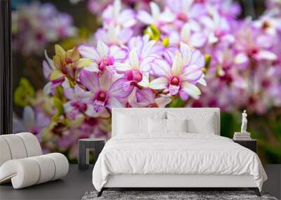 pink orchid in nature Wall mural