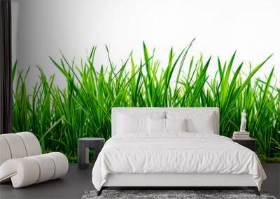 green grass isolated on white, PNG Wall mural