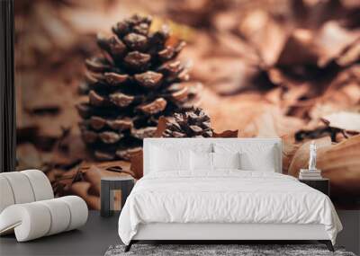 a small pine cone hiding between autumn leaves. concept and mood of autumn. Wall mural