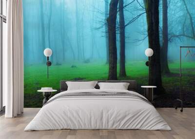 Moody forest in thick fog in the morning. Gloomy woods in blue tones. Bare trees, mysterious landscape. Wall mural