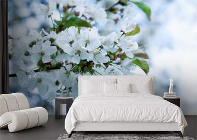 Flowering on trees on branches in spring Wall mural