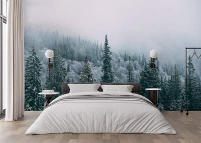 Winter green tree covered with snow. Wall mural