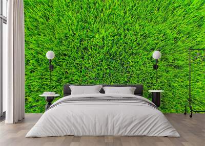 Top view of small rice seedlings, green fresh field after rain Wall mural