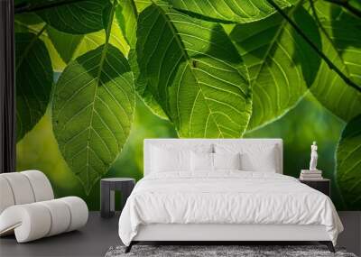 Macro leaves background Wall mural