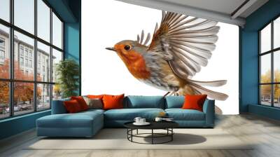 A robin bird isolated on white or transparent background Wall mural