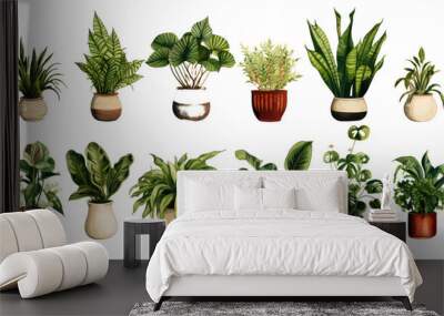 Collection of various houseplants displayed in ceramic pot isolated on transparent background Wall mural