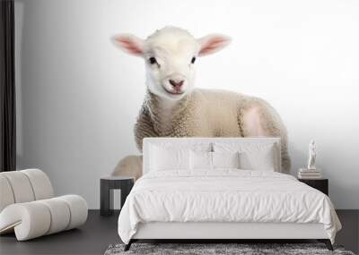 Cute lamb sitting on transparent background Wall mural