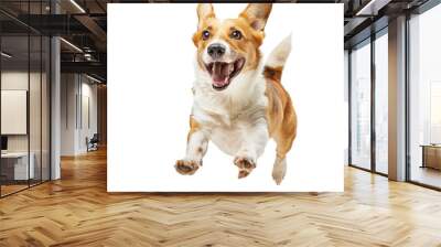 Happy cute dog running and jumping isolated on white or transparent background Wall mural