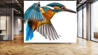 Kingfisher flying isolated on white or transparent background Wall mural