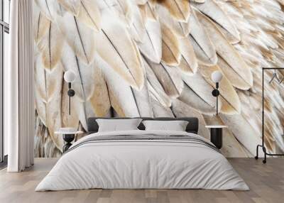 Bird feathers Wall mural