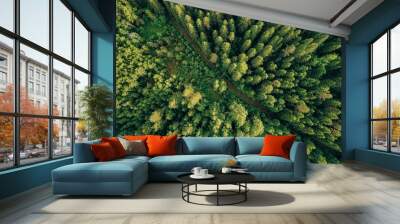 Aerial top view of summer green trees and road in forest in rural Finland. Wall mural