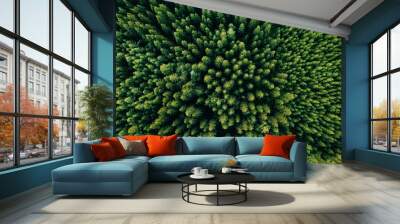 Aerial top view of summer green trees in forest in rural Finland. Wall mural