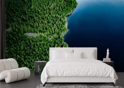 Aerial view of blue lake stone shore and and green woods with pine trees in Finland. Wall mural