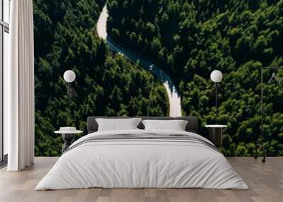 Aerial view of curve road on the mountain with green forest in Greece Wall mural