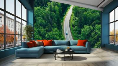 Aerial view of curved country road with cars and green summer woods. Wall mural