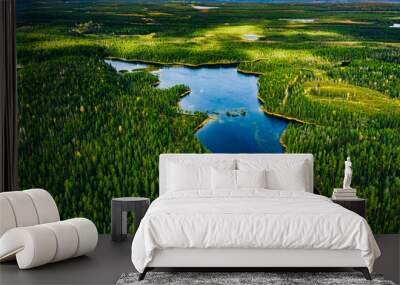 Aerial view of green forests and blue lakes and rivers in summer Finland Wall mural