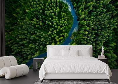 Aerial view of green grass forest with tall pine trees and blue bendy river flowing through the forest Wall mural