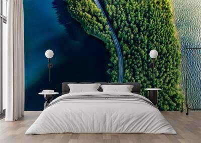 Aerial view of road in green woods and blue lakes water in Finland Wall mural