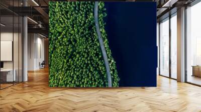 Aerial view of road in green woods and blue lakes water in Finland Wall mural