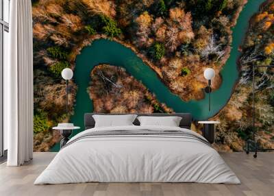 Aerial view of turquoise winding river and golden autumn woods Wall mural