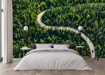 Aerial view of winding forest road in summer Finland Wall mural