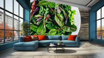 Mix of fresh green salad leaves with arugula, lettuce, spinach and beets on wooden rustic background. Wall mural