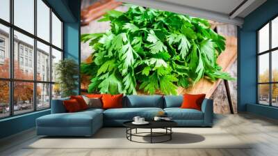 organic fresh bunch of parsley closeup Wall mural