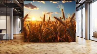 Landscape of a rural summer in the country. Field of ripe golden wheat in rays of sunlight at sunset against background of sky with clouds. Wall mural