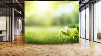 Spring summer background with frame of grass and leaves on nature. Juicy lush green grass on meadow in morning sunny light outdoors, copy space, soft focus, defocus background. Wall mural