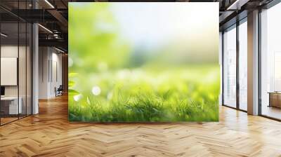 Spring summer background with frame of grass and leaves on nature. Juicy lush green grass on meadow in morning sunny light outdoors, copy space, soft focus, defocus background. Wall mural