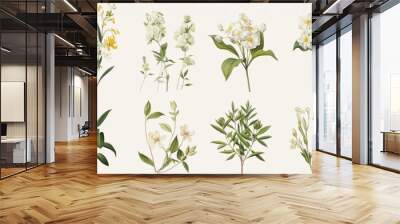 Vintage artwork and retro graphic design set of botanical illustrations of flowers or floral plants Wall mural