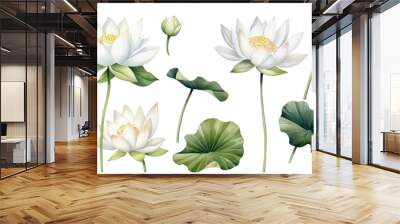 White lotus set, watercolor botanical illustration Hand-drawn floral illustration isolated on a white background isolated on white or transparent background Wall mural