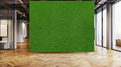  top view of real green grass background Wall mural