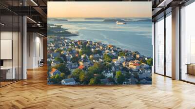 aerial view of residential area in MA coast area Wall mural