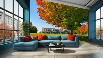 autumn colorful trees and in the front yard of house Wall mural