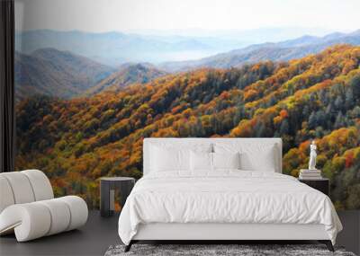 autumn mountain and colorful forest Wall mural