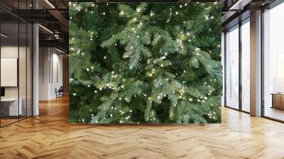 Close up on Christmas tree with light Wall mural