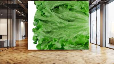 close up on fresh green lettuce leaf texture Wall mural