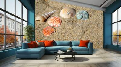 colorful sea shells and snail on sand in the beach Wall mural