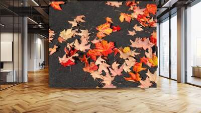 fallen red leaves on the ground in autumn Wall mural