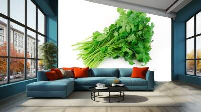 fresh cilantro coriander isolated on white background Wall mural