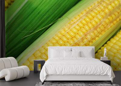 fresh corn Wall mural