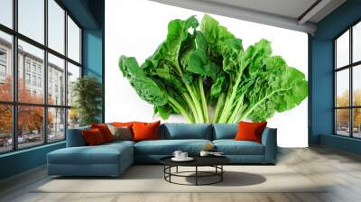 fresh green spinach on white background Wall mural