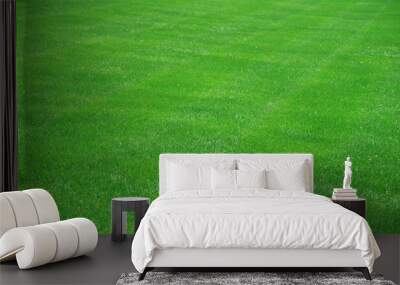 high angle view of real green grass background Wall mural