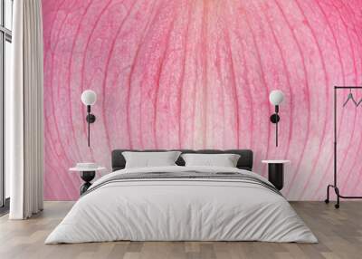 macro view of pink flower petal texture background Wall mural