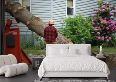 manual worker removing tree in residential area Wall mural