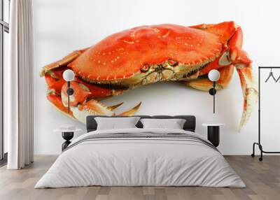 single steamed crab isolated on white background Wall mural