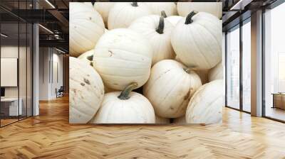 white pumpkin harvest in autumn season Wall mural