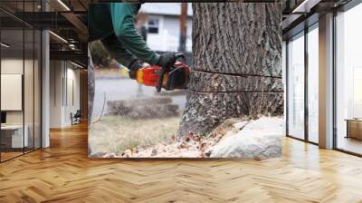 working man cutting tree trunk with chainsaw in residential area Wall mural