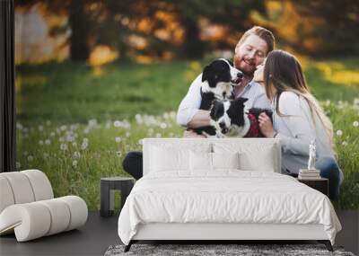 Beautiful couple cuddling and walking dogs outdoors Wall mural